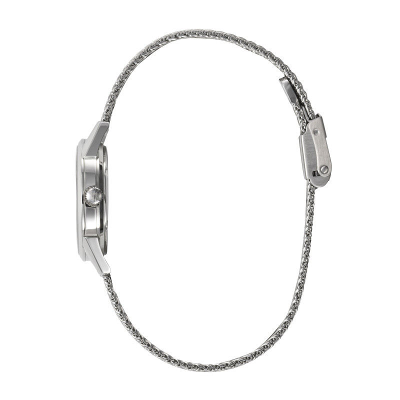 Himalaya Classique 29 mm, vue fermoir