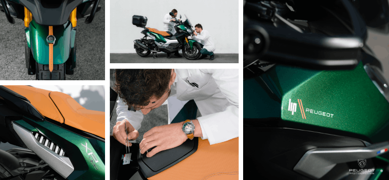 Himalaya Peugeot Web Banner