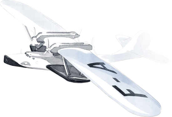 Avion
